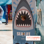 Aquarium Sea Life - IMG 8406