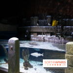 Aquarium Sea Life - IMG 8389