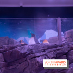 Aquarium Sea Life - IMG 8390