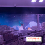 Aquarium Sea Life - IMG 8391