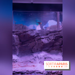 Aquarium Sea Life - IMG 8392