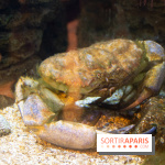 Aquarium Sea Life - IMG 8394