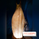 Aquarium Sea Life - IMG 8381