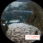 Aquarium Sea Life - IMG 8385