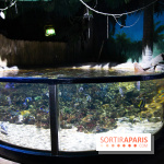 Aquarium Sea Life - IMG 8375