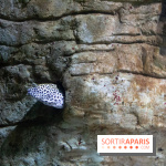 Aquarium Sea Life - IMG 8376