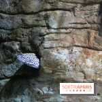 Aquarium Sea Life - IMG 8377