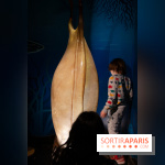 Aquarium Sea Life - IMG 8379