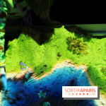 Aquarium Sea Life - IMG 8366