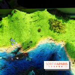 Aquarium Sea Life - IMG 8368