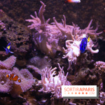 Aquarium Sea Life - IMG 8357