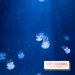 Aquarium Sea Life - IMG 8359