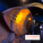 Aquarium Sea Life - IMG 8348