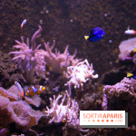 Aquarium Sea Life - IMG 8351