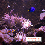 Aquarium Sea Life - IMG 8352