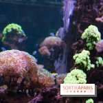 Aquarium Sea Life - IMG 8332