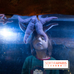 Aquarium Sea Life - IMG 8337