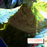 Aquarium Sea Life - IMG 8305