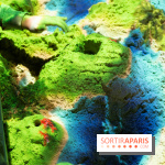 Aquarium Sea Life - IMG 8324