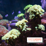 Aquarium Sea Life