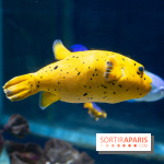 Aquarium Sea Life - IMG 8299