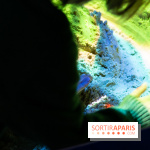 Aquarium Sea Life - IMG 8302