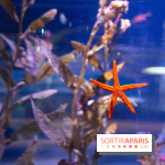 Aquarium Sea Life - IMG 8287