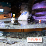 Aquarium Sea Life - IMG 8290