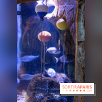 Aquarium Sea Life - IMG 8280