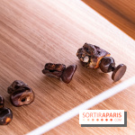 Château et atelier Rosa Bonheur à Thomery - photos -  A7C8097