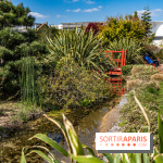 Square Médéric Colombes - jardin japonais 92 -  A7C9938