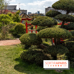 Square Médéric Colombes - jardin japonais 92 -  A7C9944