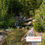 Square Médéric Colombes - jardin japonais 92 -  A7C9951