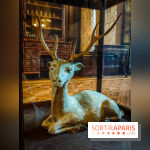 Le Musée d'Ennery, un lieu incroyable et secret à deux pas de l'Arc de Triomphe - IMG20230411110202