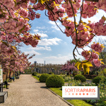 Parc de Bécon à Courbevoie - Pavillon des Indes - Cerisiers en fleurs