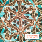 Paradox Museum Paris - les photos -  A7C0750