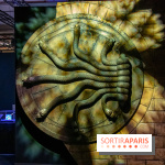 Harry Potter l'exposition chambre des secrets