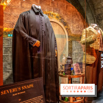 Harry Potter l'exposition cours de potions