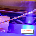 Harry Potter l'exposition baguette de sureau