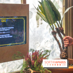 Harry Potter l'exposition cours de botanique