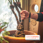 Harry Potter l'exposition cours de botanique