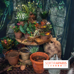 Harry Potter l'exposition cours de botanique