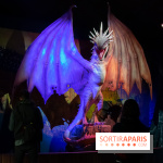 Harry Potter l'exposition dragon