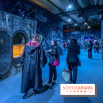 Harry Potter l'exposition