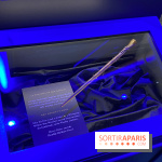 Harry Potter l'exposition baguette