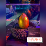 Harry Potter l'exposition tournoi des trois sorciers