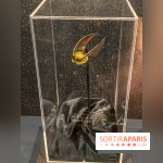Harry Potter l'exposition quidditch