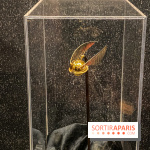 Harry Potter l'exposition quidditch