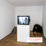 Paris Animal, nos photos de l'expo à Paris - IMG 9776