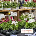 Esprit Jardin à Versailles - Marché aux plantes et animations